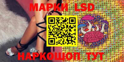 гашик Малгобек